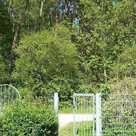 アパート Leuchtturmblick Silva Mit Fahrradkellerstellflaeche