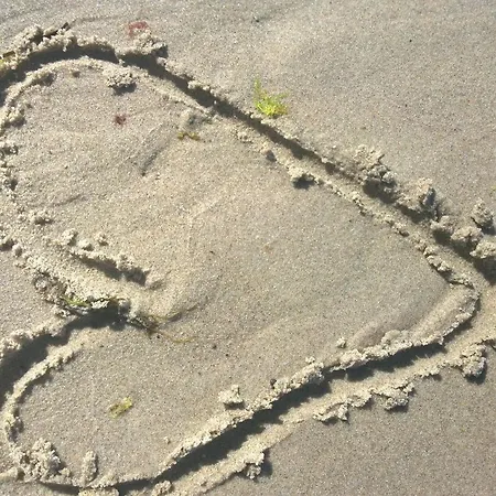 Silva - Leuchtturmblick Mit Fahrradkellerstellflaeche *